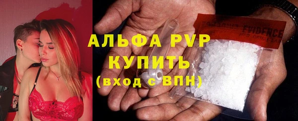 ГАЛЛЮЦИНОГЕННЫЕ ГРИБЫ Новозыбков