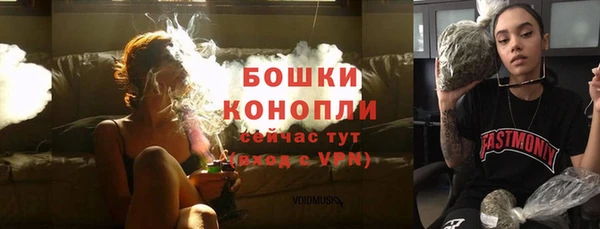 ГАЛЛЮЦИНОГЕННЫЕ ГРИБЫ Новозыбков
