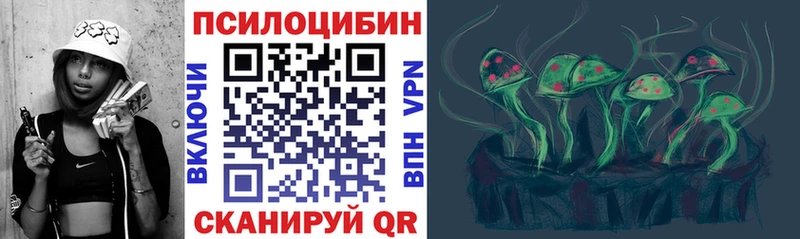 Галлюциногенные грибы Psilocybe  наркотики  Красный Холм 